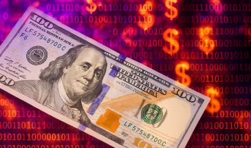 Chips network boasts daily payment growth