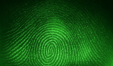 Global cyber fraud attacks rose last year